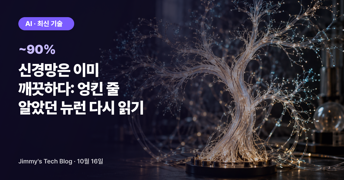 신경망은 이미 깨끗하다: 엉킨 줄 알았던 뉴런 다시 읽기